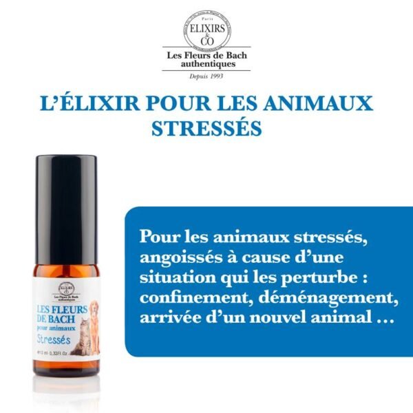 Elixir Animaux Stressés – Image 4